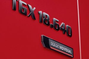 man-tgx-individual-lion-s-gallerie-02-3x4_width_534_height_712 man-tgx-individual-lion-s-gallerie-02-3x4_width_534_height_712
